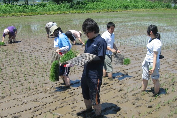 (日本語) 2013.06.09 宮島沼田植えイベント・観測