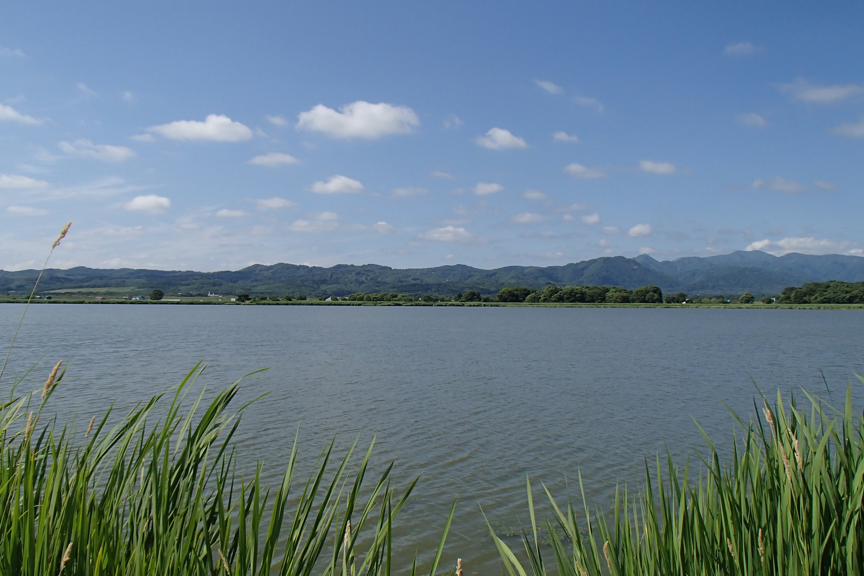 (日本語) 2012.07.23 宮島沼観測　総移動距離：103 km
