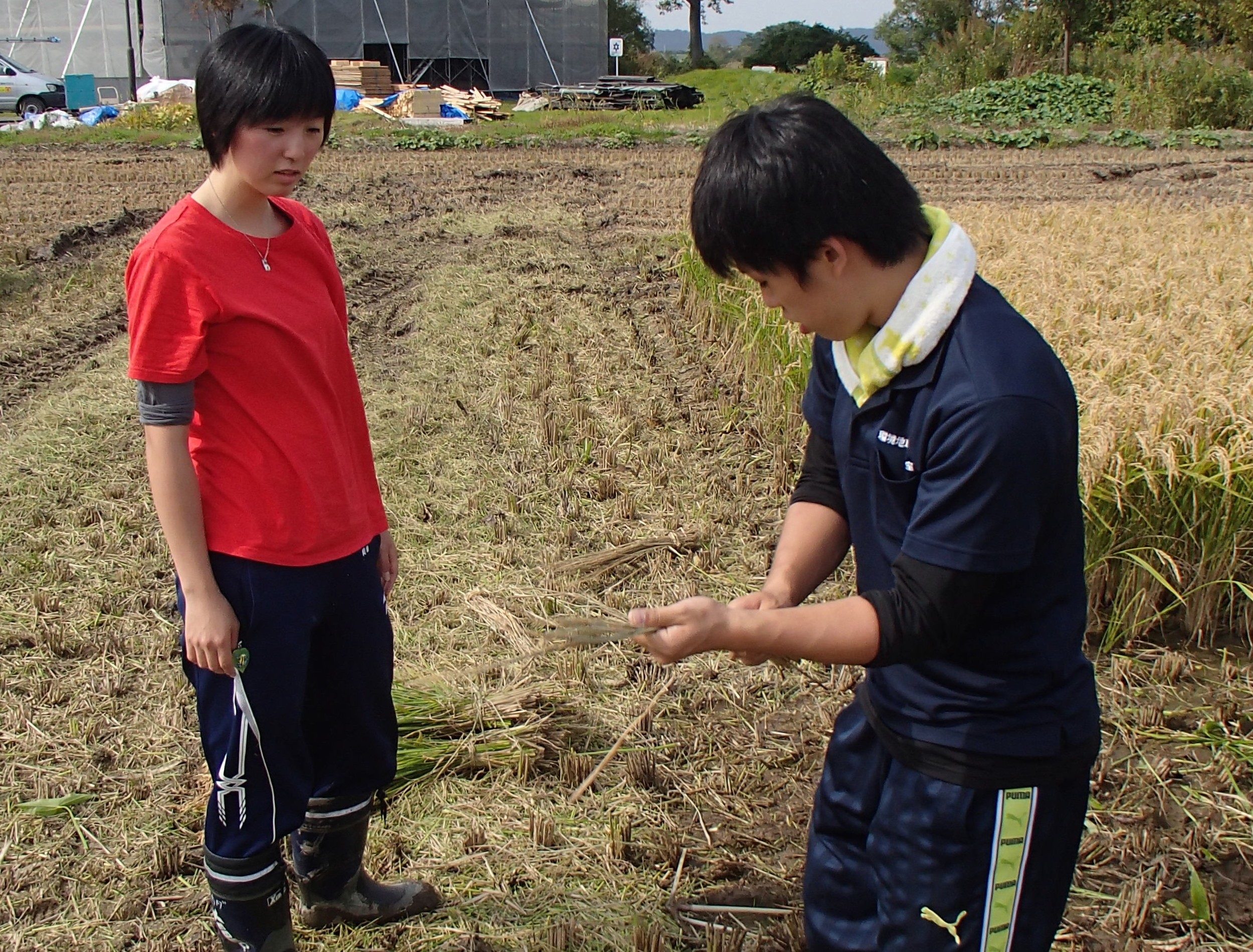 (日本語) 2013.10.06 宮島沼観測＆稲刈り　総移動距離：113 km