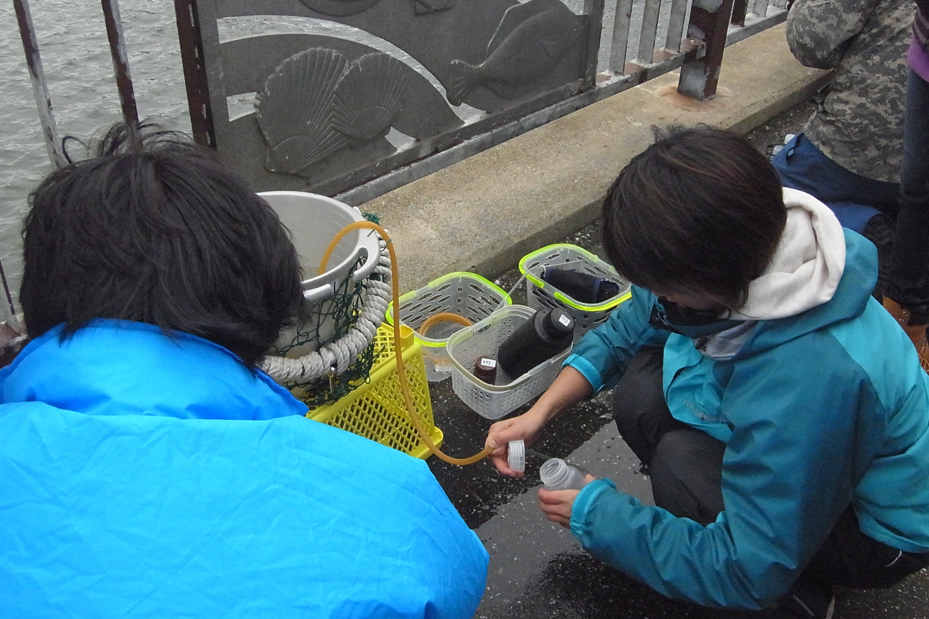 (日本語) 2012.11.29 浜頓別観測　総移動距離：903 km