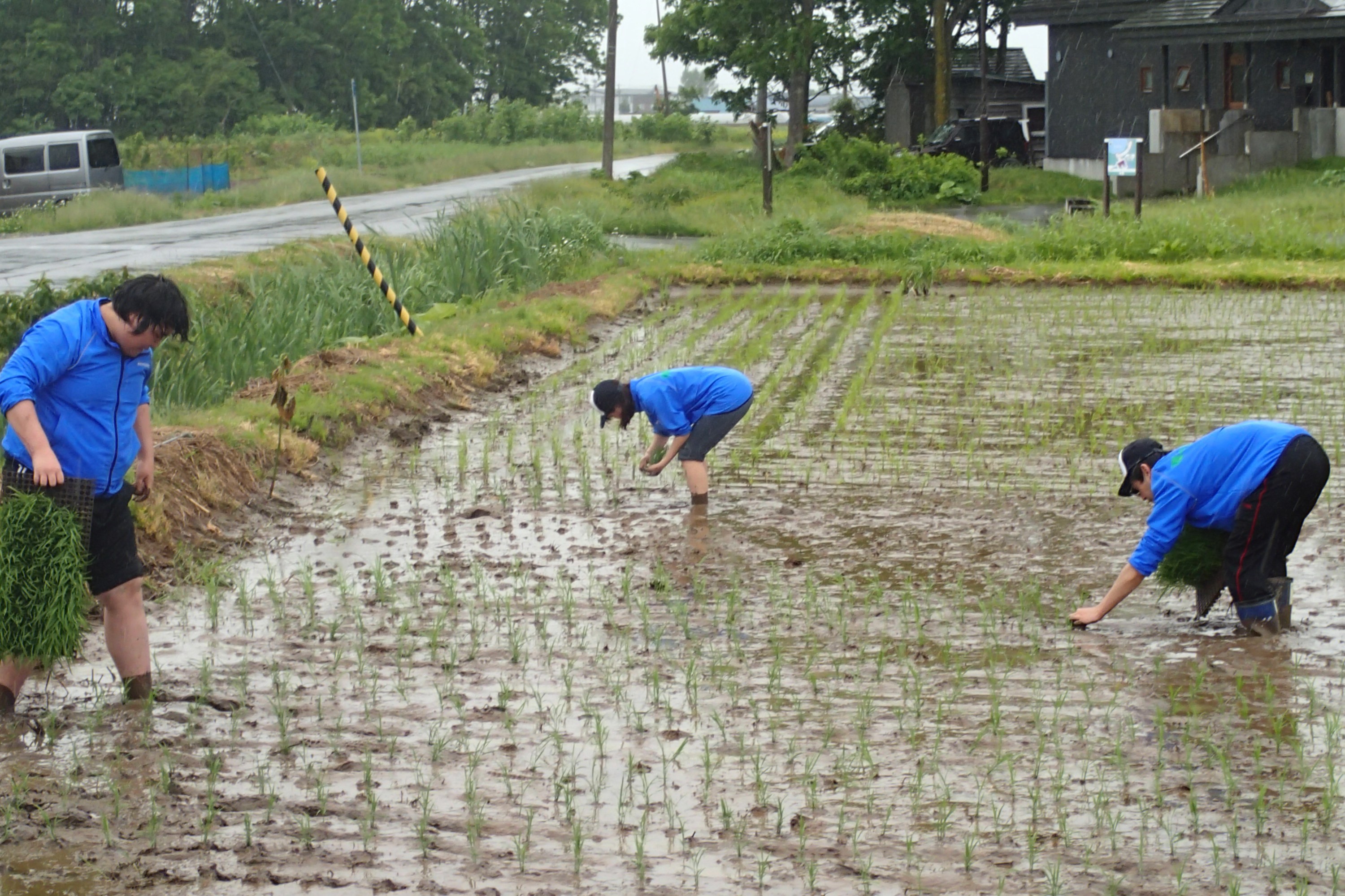 (日本語) 2014.06.08 宮島沼観測&田植え 総移動距離:110 km