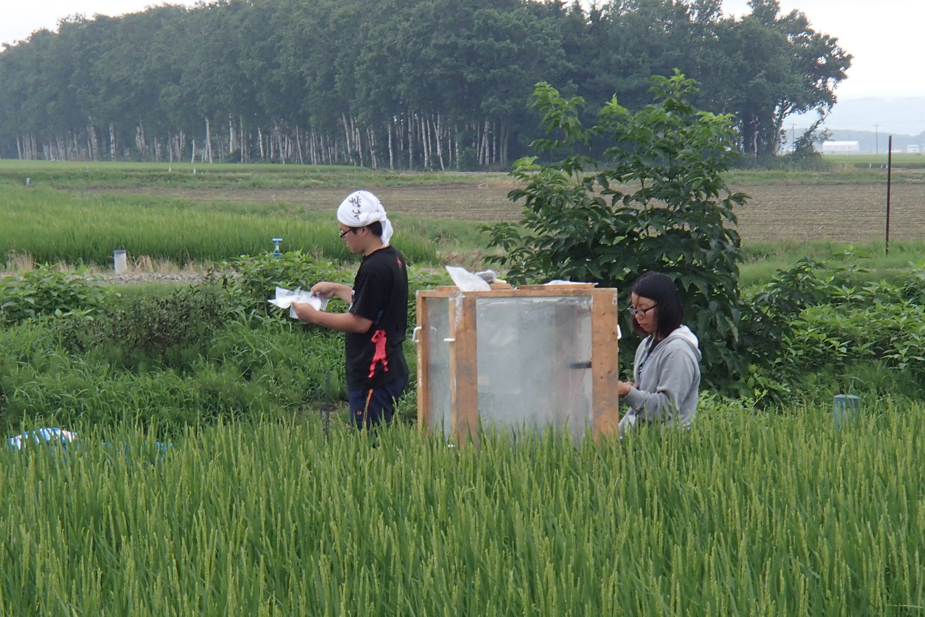 (日本語) 2012.08.05 宮島沼観測　総移動距離：105 km