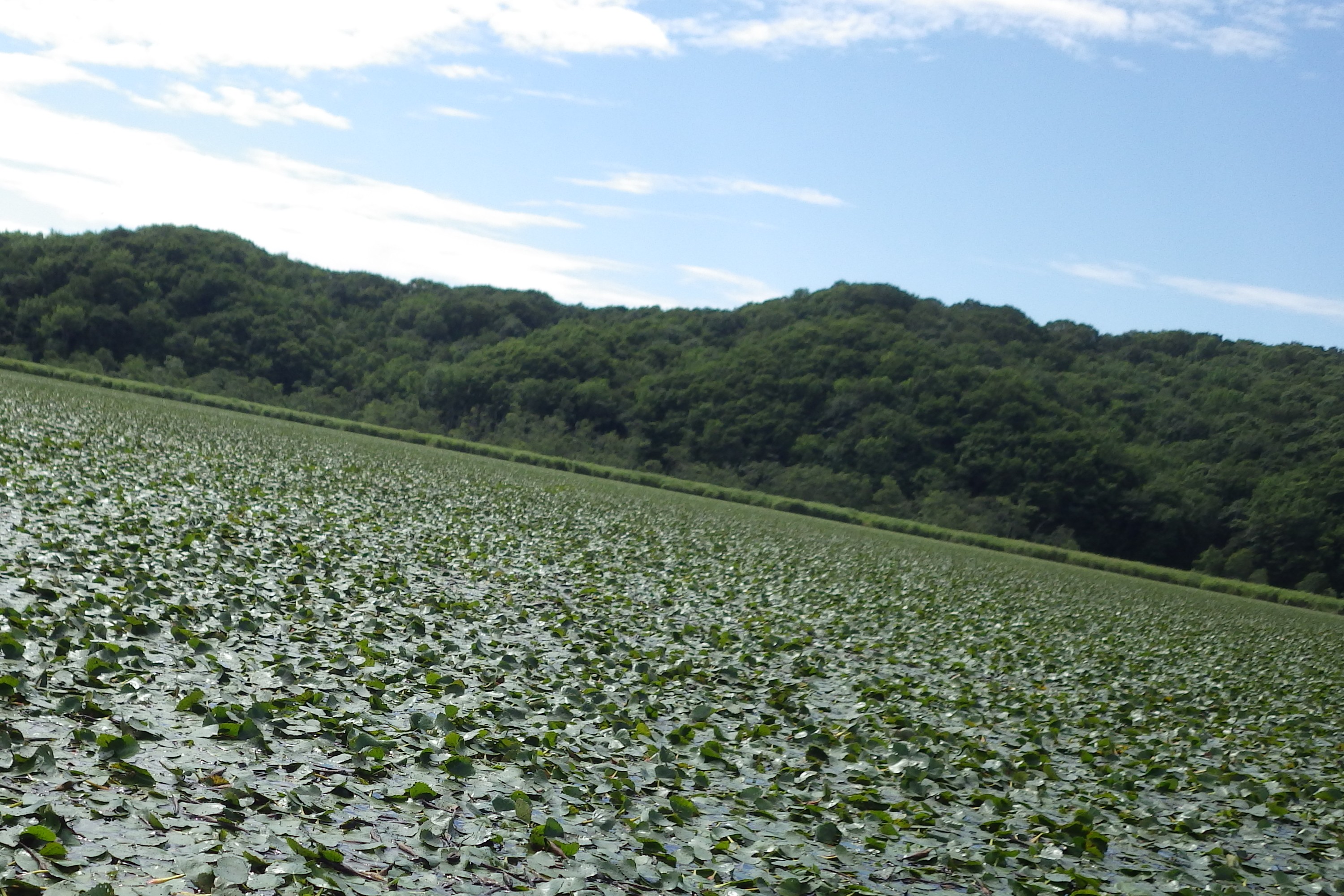 (日本語) 2015.08.27-29 釧路観測 総移動距離:1010 km