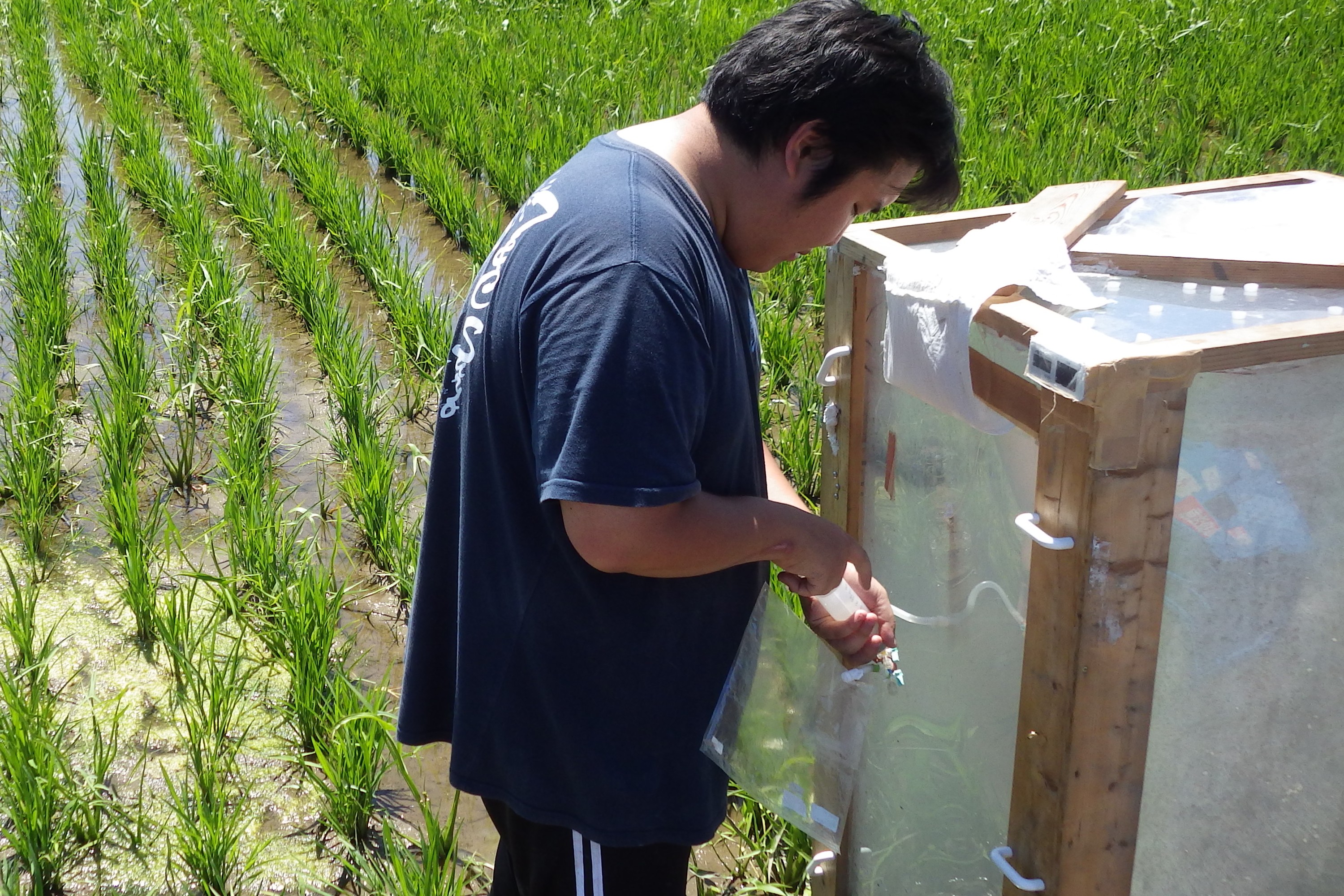 (日本語) 2015.07.15-23 宮島沼集中観測