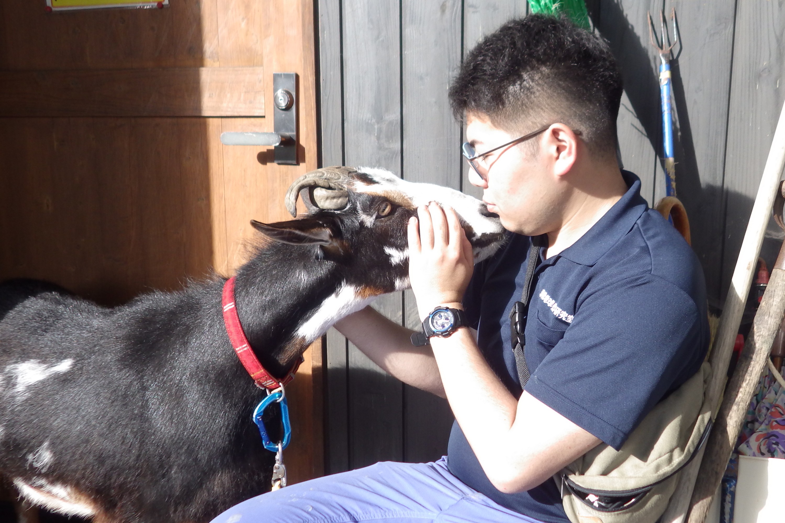 (日本語) 2016.07.07-08,10-13 宮島沼集中観測