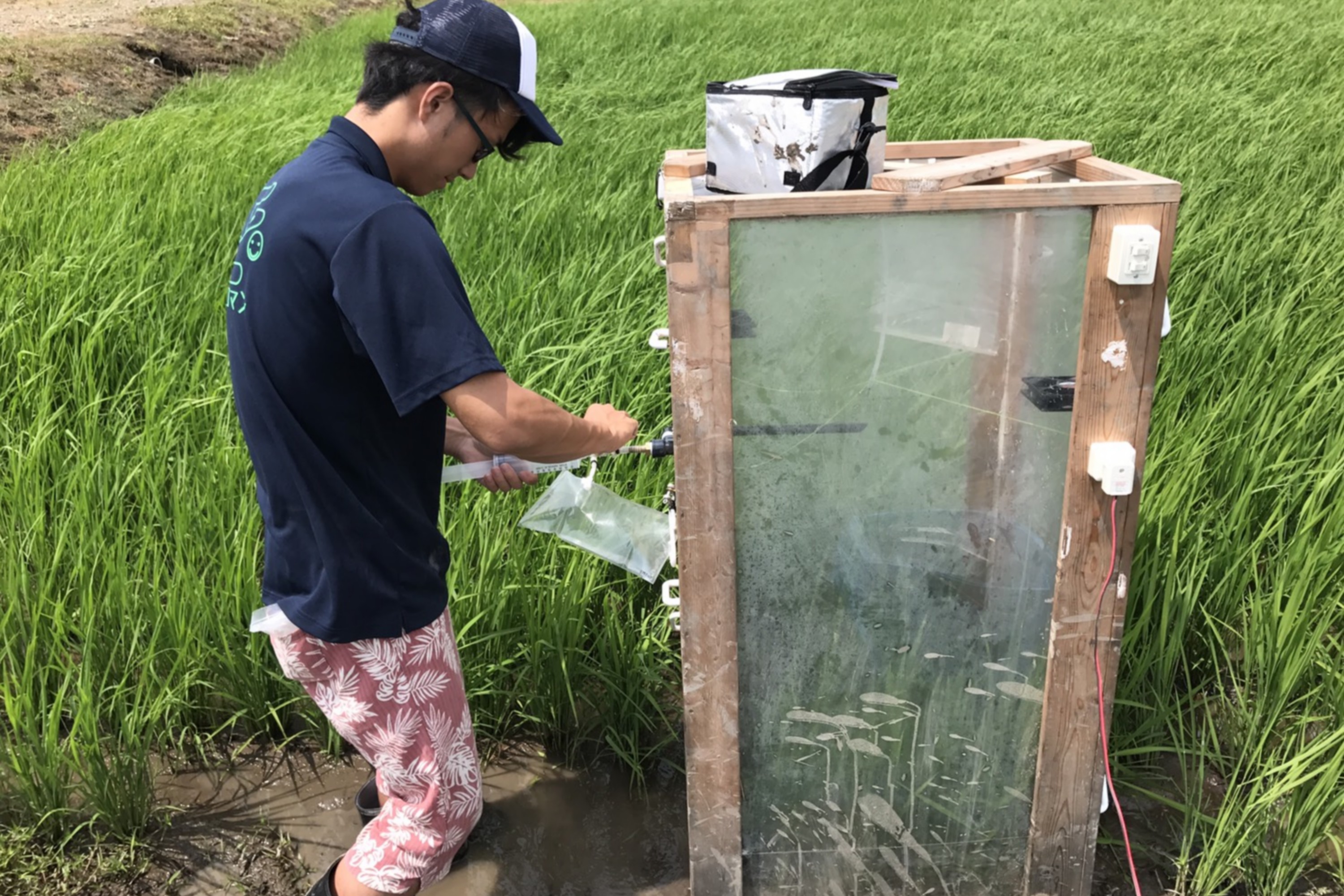 (日本語) 2017.07.13-21 宮島沼集中観測
