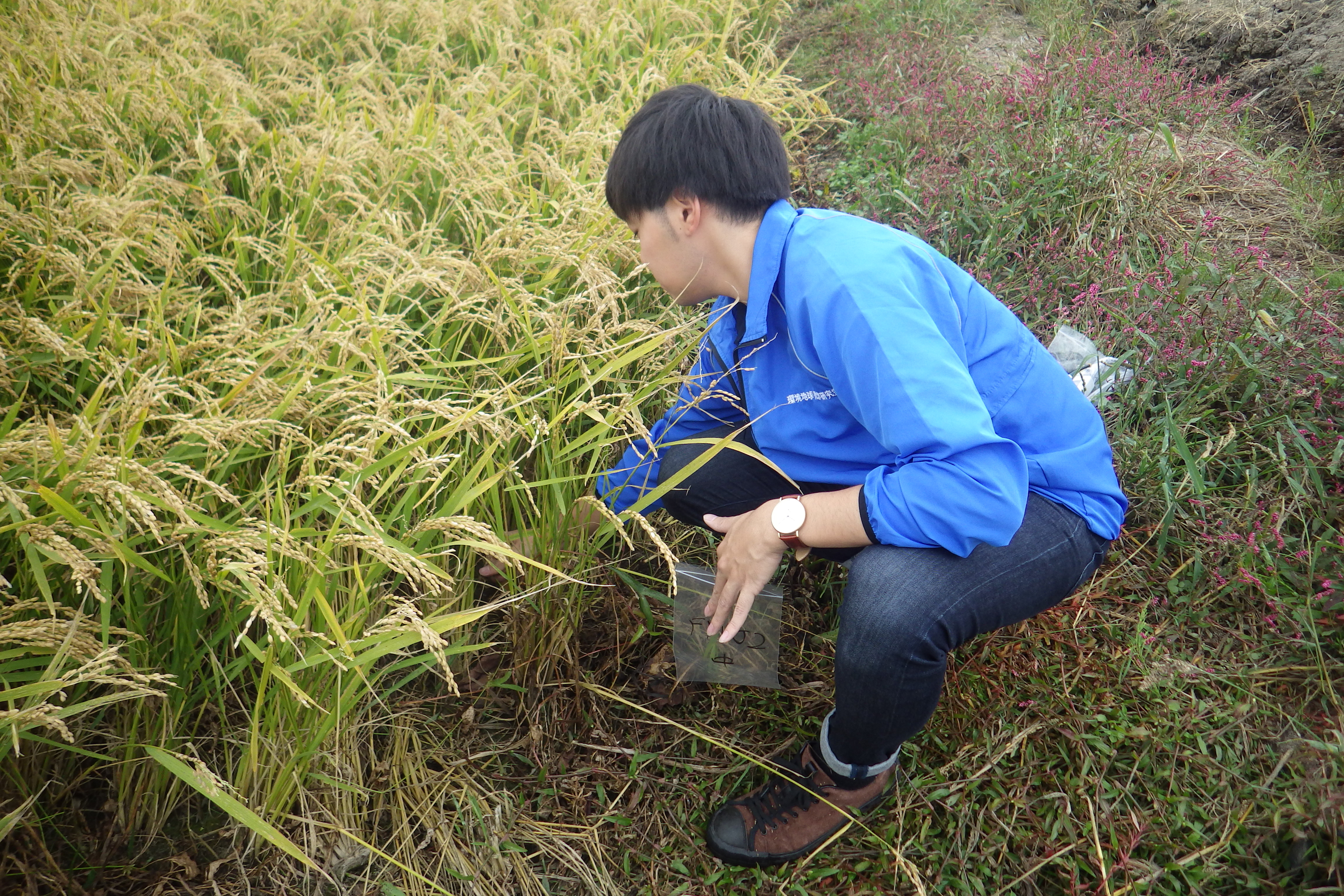(日本語) 2018.09.30 宮島沼観測